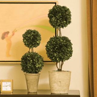 Double Sphere Boxwood Topiary - dolly mama boutique