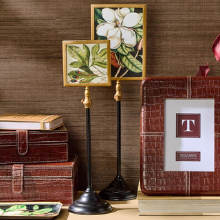 Frame on Telescoping Pole - dolly mama boutique