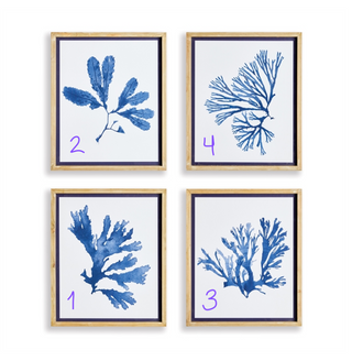 Indigo Seaweed Prints - dolly mama boutique