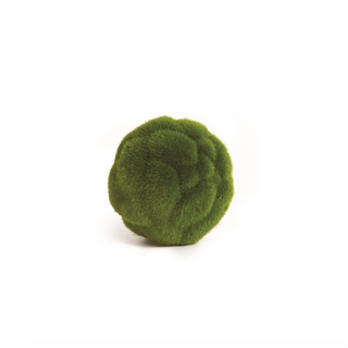 Mood Moss Orb - Small - dolly mama boutique