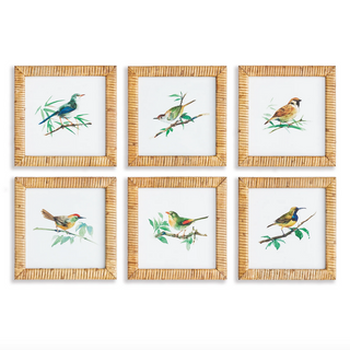 Songbird Petite Prints - dolly mama boutique