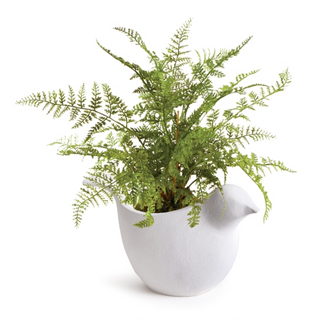 Perch Pot - dolly mama boutique