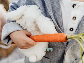 Wee Ittybit Bunny - dolly mama boutique