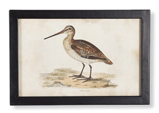 Framed Waterfowl Prints