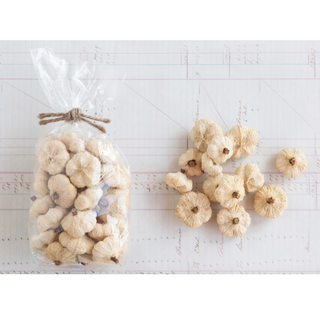 Dried Pumpkin Pods in Bag - dolly mama boutique