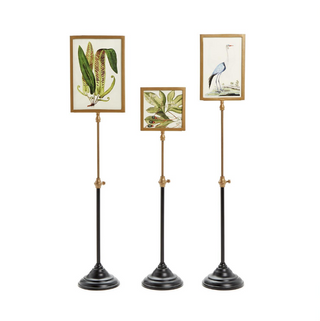 Frame on Telescoping Pole - dolly mama boutique