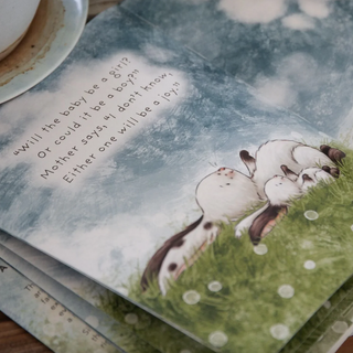 "Who Will Be Our New Baby?" Book - dolly mama boutique