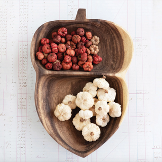Dried Pumpkin Pods in Bag - dolly mama boutique
