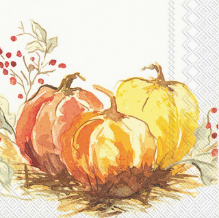 Painted Pumpkin Lunch Napkins - dolly mama boutique