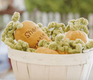 Carrot Rattle - dolly mama boutique