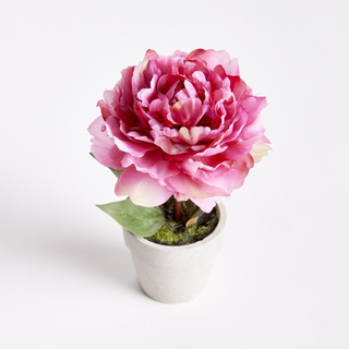 Mini Potted Peony - Dark Pink - dolly mama boutique