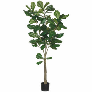 Fiddle Leaf Tree - dolly mama boutique