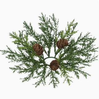 Arborvitae Accent Taper Ring