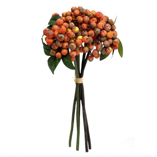 Orange Berry Bundle