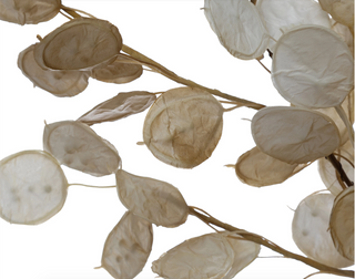 Faux Silver Dollar Garland XS1167