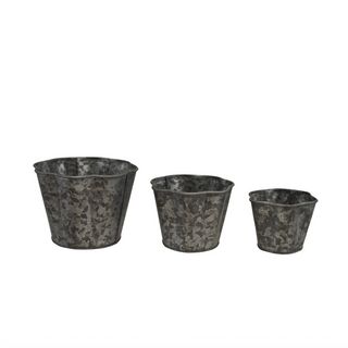 Metal Scalloped Tins