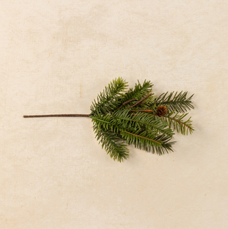 Hemlock & Douglas Fir Pick - dolly mama boutique