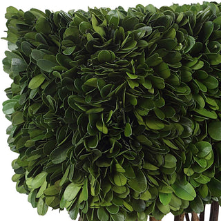 Preserved Boxwood Topiary 60188 - dolly mama boutique