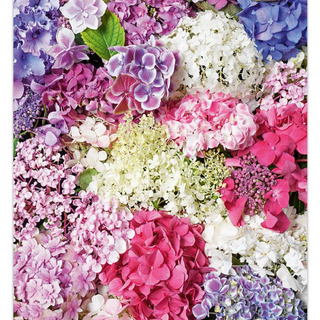 “Hydrangeas: Beautiful Varieties for Home & Garden” Book - dolly mama boutique