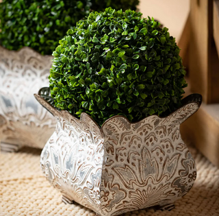 Foliage ORB 02654ORB - dolly mama boutique