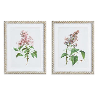 Lilac Cutting prints