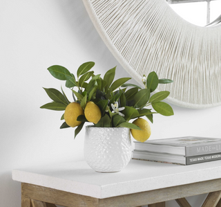 Positano Lemon Accent 60190