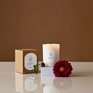 Dahlia Boxed Candle - dolly mama boutique