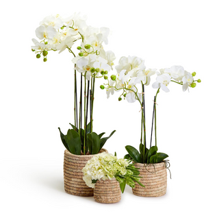 Hand Woven Date Leaf Basket - dolly mama boutique