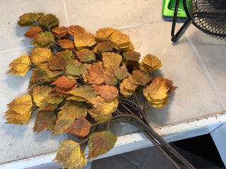 Golden Brown Birch Pick