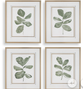 Fiddle Head Leaf Framed Prints