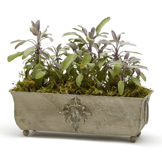 Vintage Rectangular Planter - dolly mama boutique