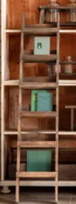 Ladder Shelf Display