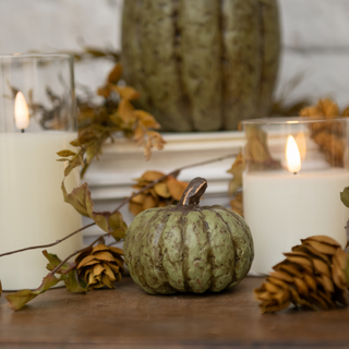 Olive Green Short Pumpkin - dolly mama boutique