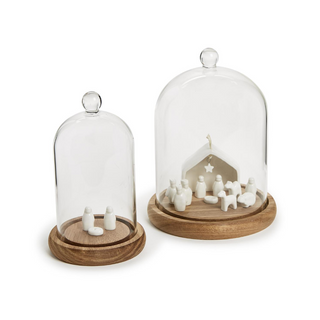 Cloche with Wooden Base
