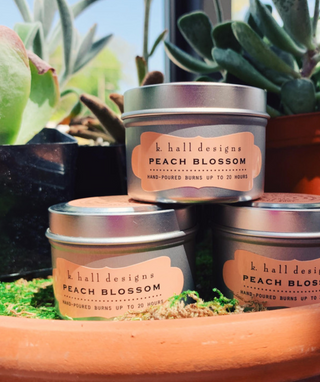 Barr-Co Travel Candle - dolly mama boutique