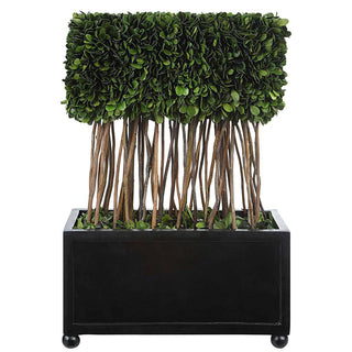 Boxwood Rectangular Topiary - dolly mama boutique