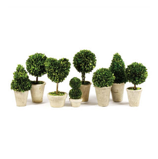 Topiary In Clay Pot 7507PG - dolly mama boutique