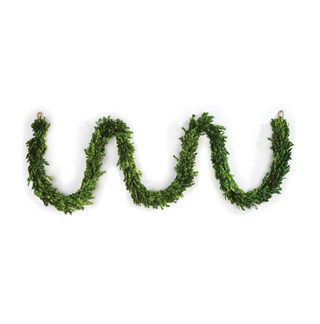 Boxwood Garland 12' 7593PG - dolly mama boutique