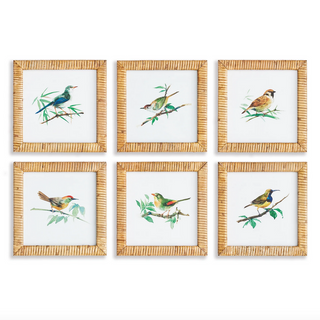 Songbird Petite Prints