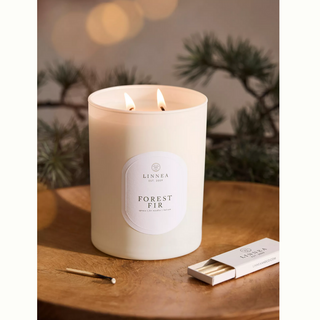 Boxed Soy Candle - dolly mama boutique