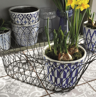 French Wire Oval Planter Basket