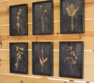 Botanical Print Asst.