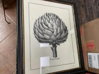 Framed Artichoke Print