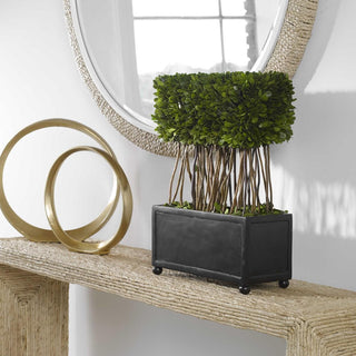 Preserved Boxwood Topiary 60188 - dolly mama boutique