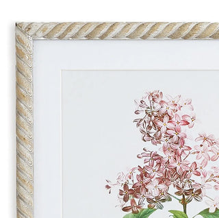 Lilac Cutting prints