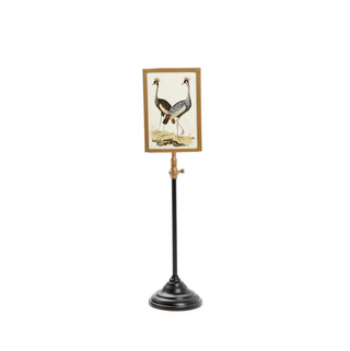 Frame on Telescoping Pole