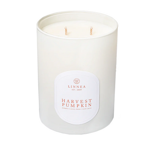 Harvest Pumpkin Boxed Candle - dolly mama boutique
