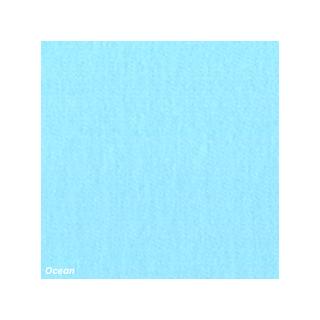 Plain Jane Visor - dolly mama boutique