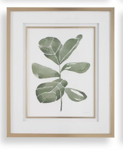 Fiddle Head Leaf Framed Prints
