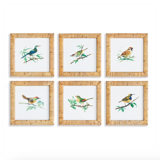 Songbird Petite Prints - dolly mama boutique